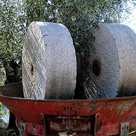 OLEIFICIO FRANTOIO ANTONINI